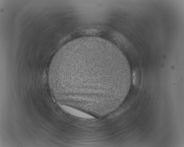 X0000081441395200702092213