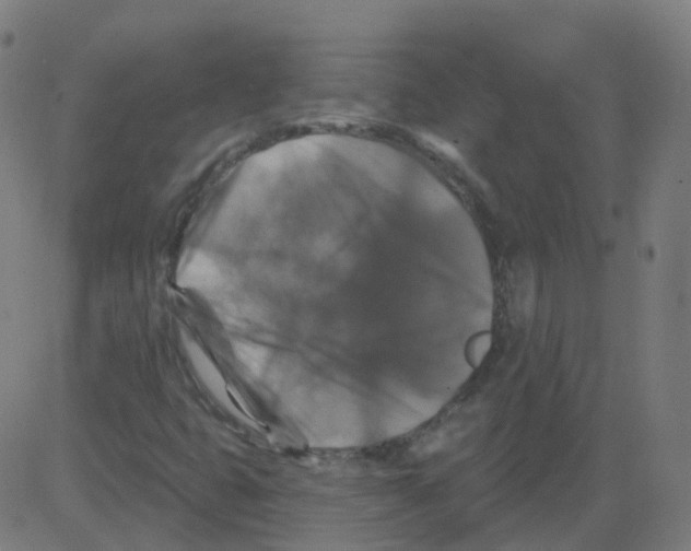 X0000081441399200702092213