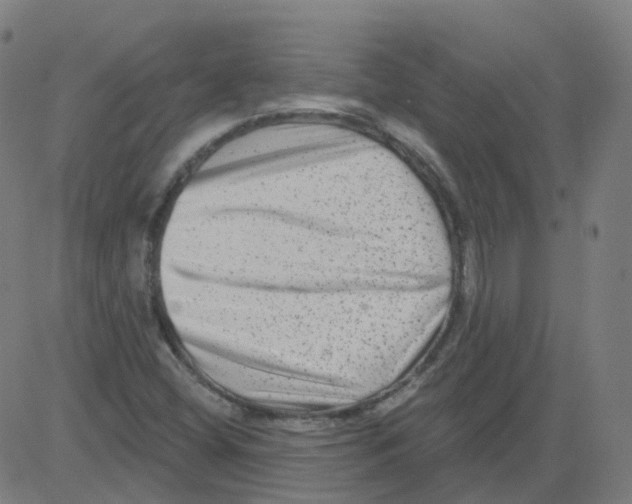 X0000081441404200702092213
