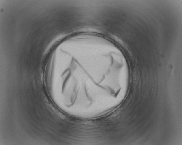 X0000081441408200702092213