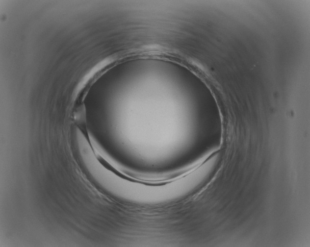 X0000081441410200702092213