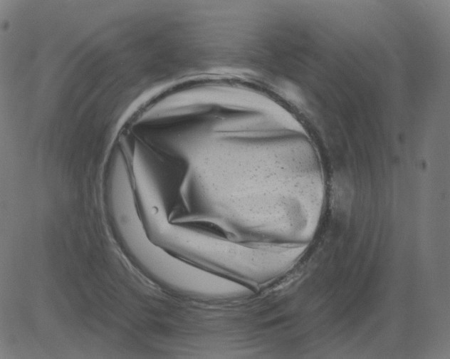 X0000081441412200702092213