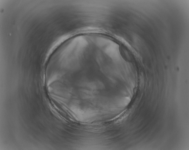 X0000081441413200702092213