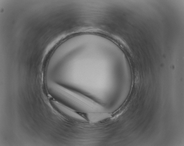 X0000081441414200702092213