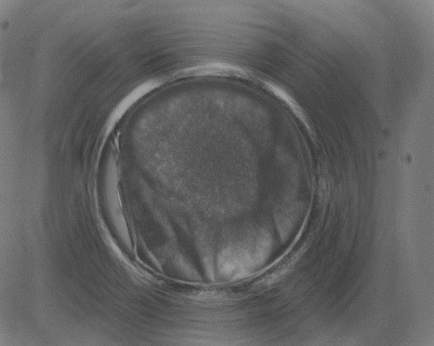 X0000081441418200702092213