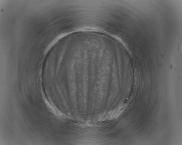 X0000081441422200702092213