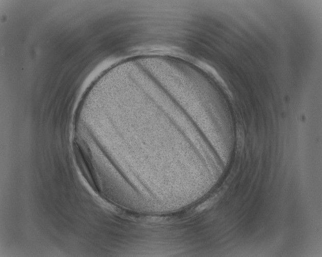 X0000081441424200702092213