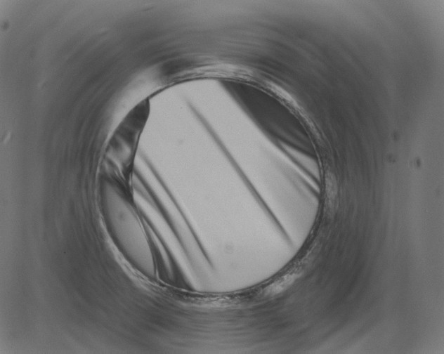 X0000081441426200702092213