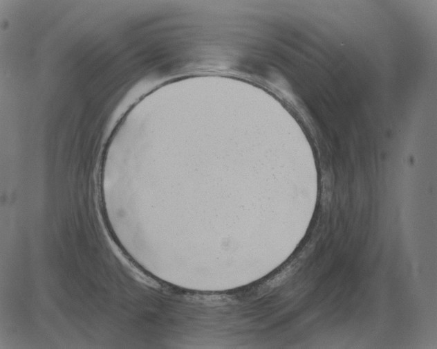 X0000081441432200702092213