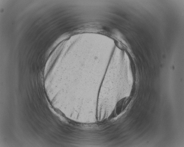 X0000081441433200702092213