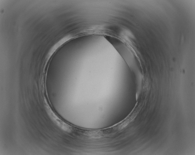 X0000081441434200702092213