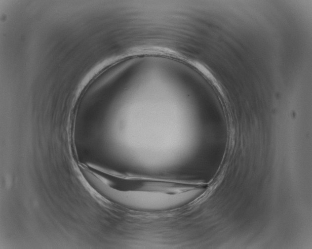 X0000081441438200702092214
