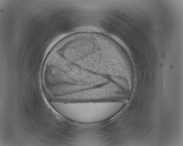 X0000081441440200702092214
