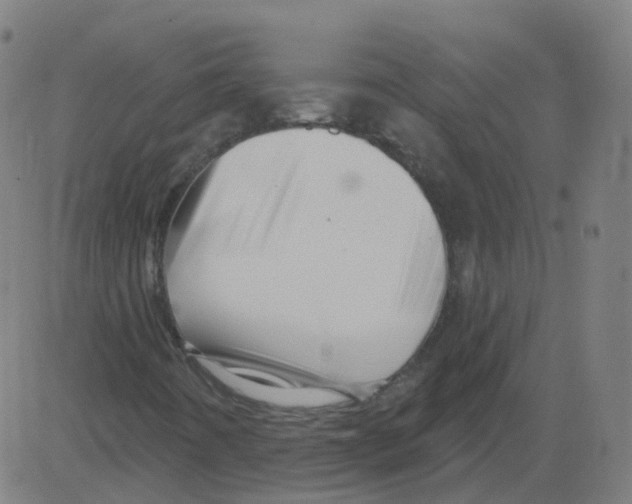 X0000081441442200702092213