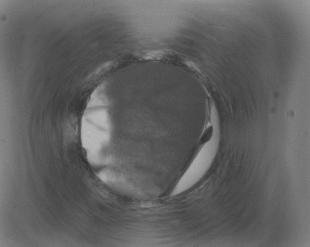 X0000081441443200702092213