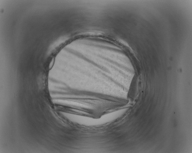 X0000081441448200702092213