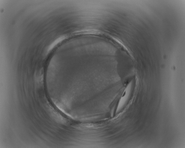 X0000081441450200702092213
