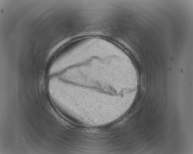 X0000081441452200702092213