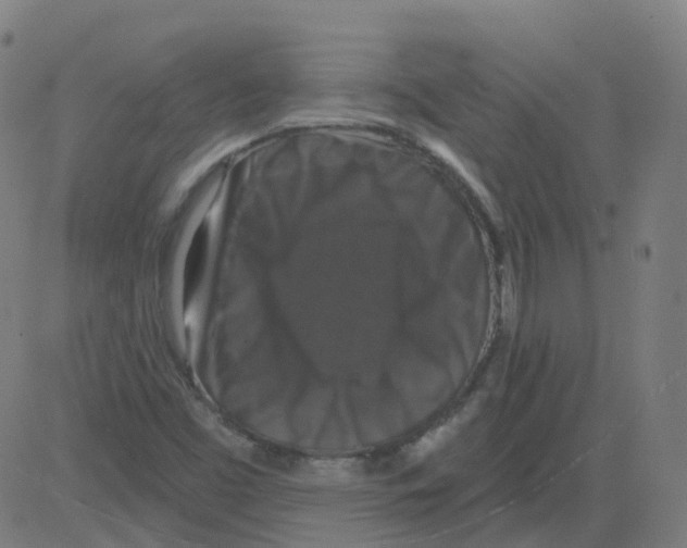 X0000081441453200702092213