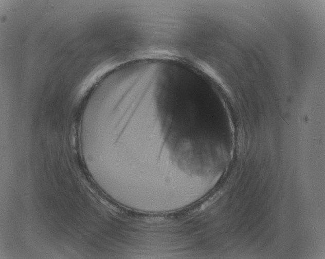 X0000081441455200702092213