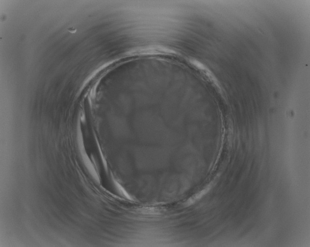 X0000081441457200702092213