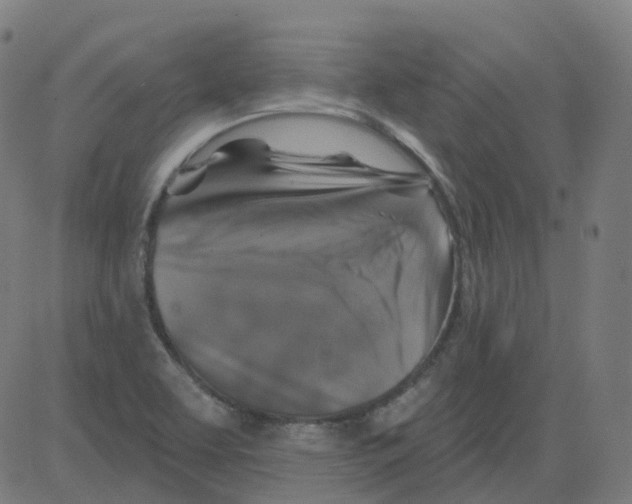 X0000081441463200702092212