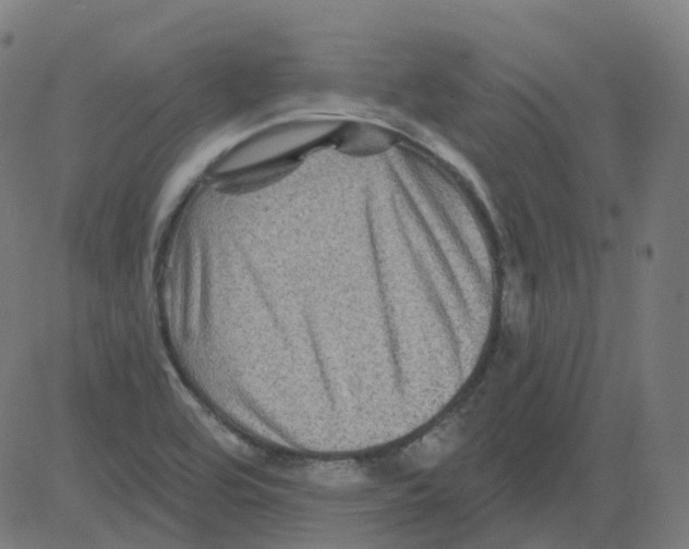 X0000081441464200702092212