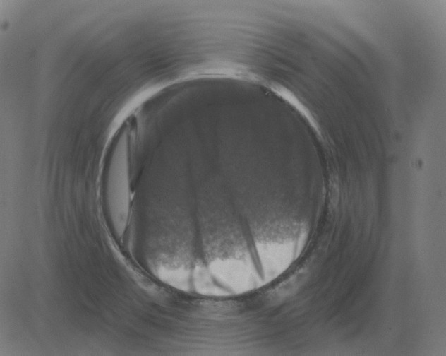 X0000081441469200702092212