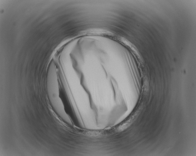 X0000081441473200702092212