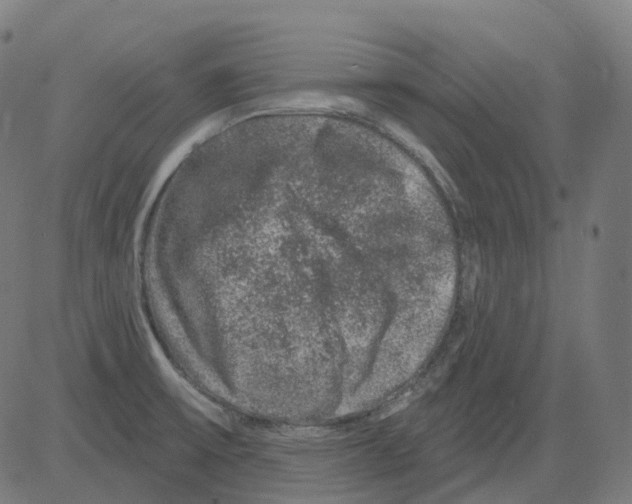 X0000081441475200702092212