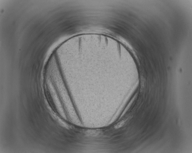 X0000081441480200702092212