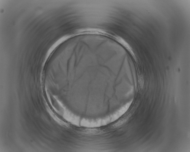 X0000081441482200702092212
