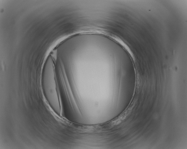 X0000081441485200702092212