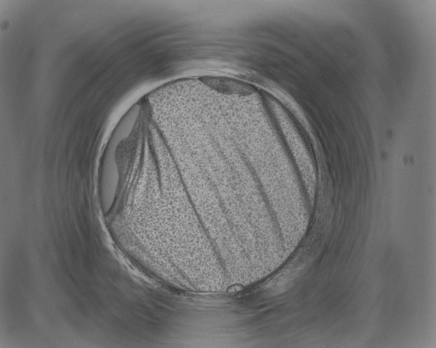 X0000081441488200702092212