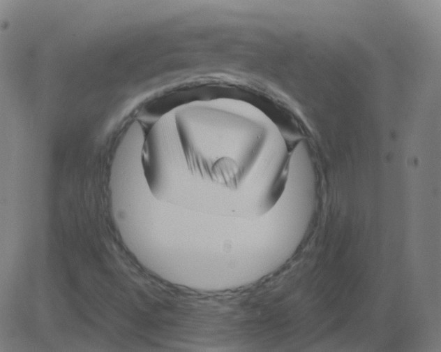 X0000081441496200702092211