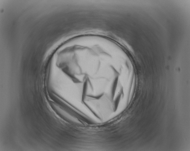 X0000081441504200702092211