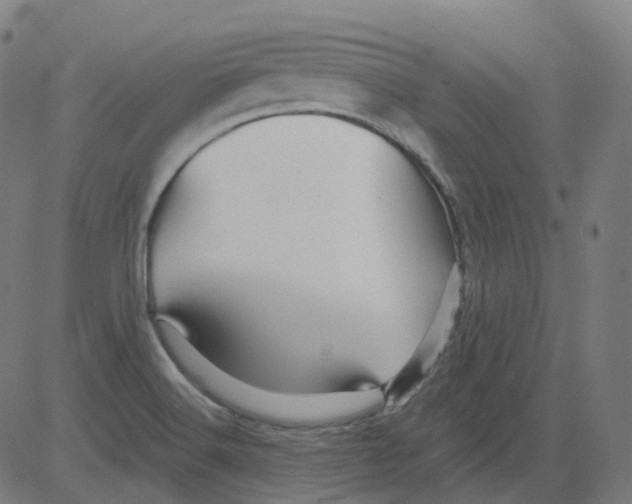 X0000081441516200702092212