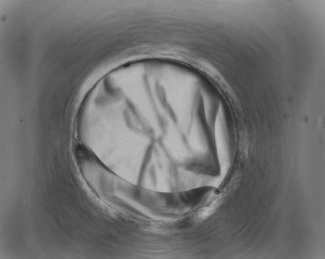 X0000081441520200702092212