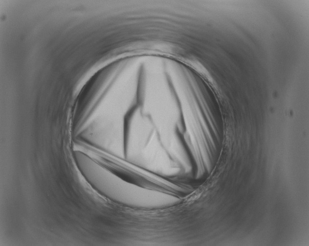 X0000081441524200702092212