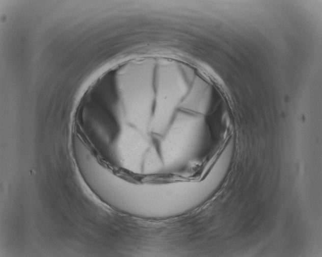 X0000081441528200702092212