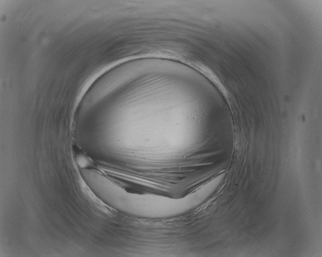 X0000081441532200702092212