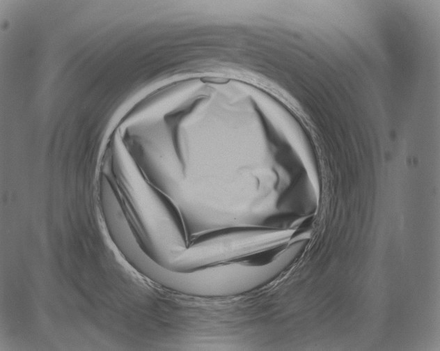X0000081441536200702092212