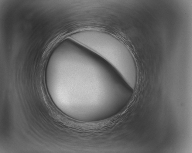 X0000081450001200701121027