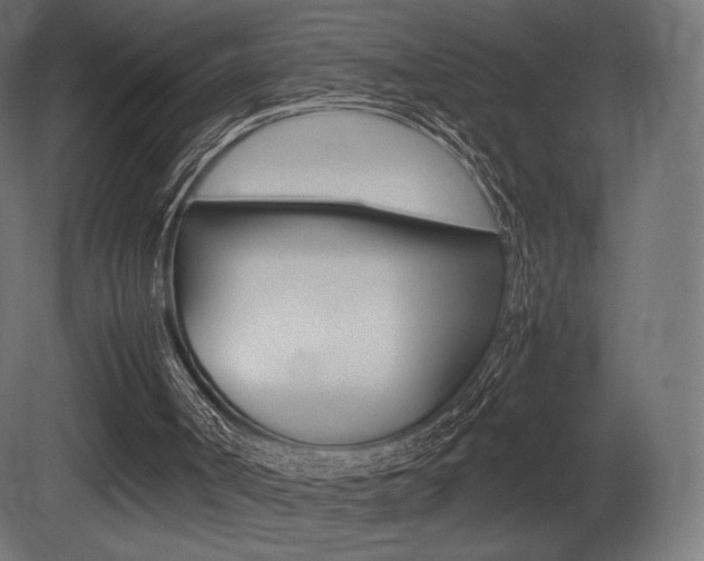 X0000081450002200701121027