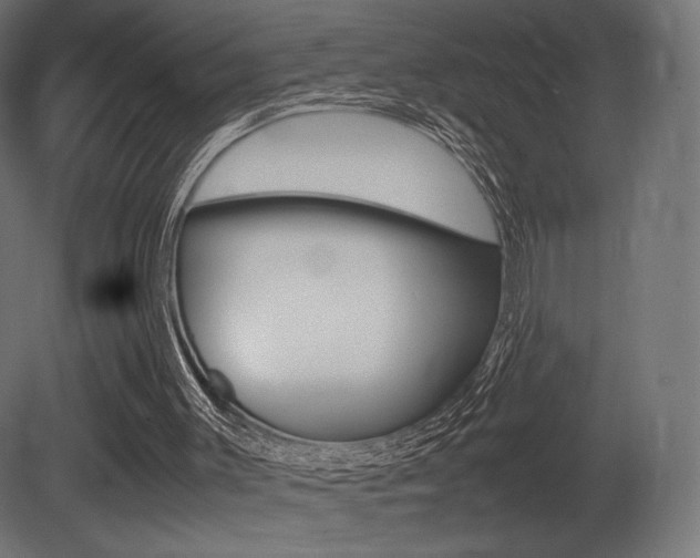 X0000081450003200701121027