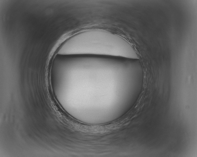 X0000081450006200701121027