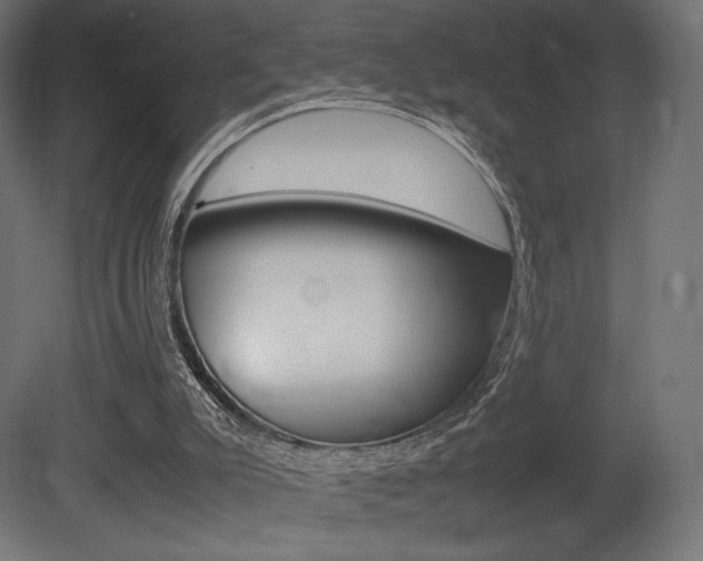 X0000081450007200701121027