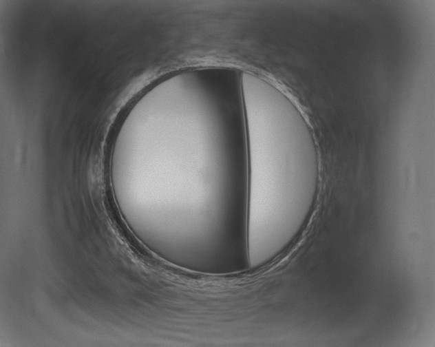 X0000081450008200701121027
