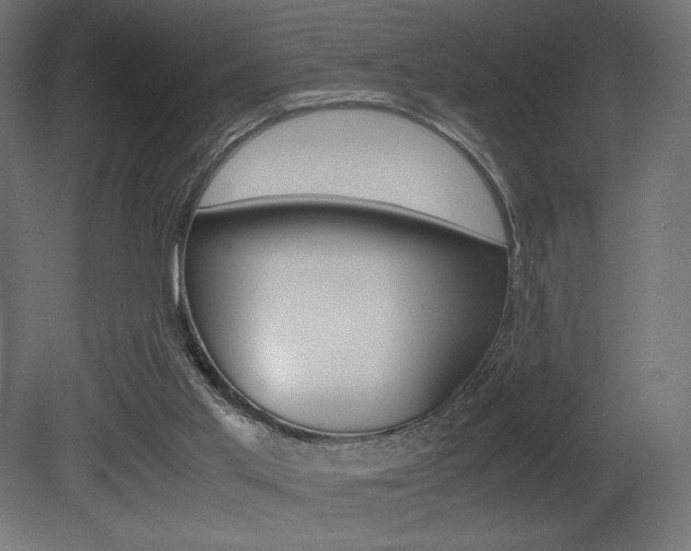 X0000081450013200701121027