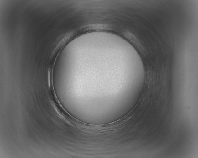 X0000081450014200701121027